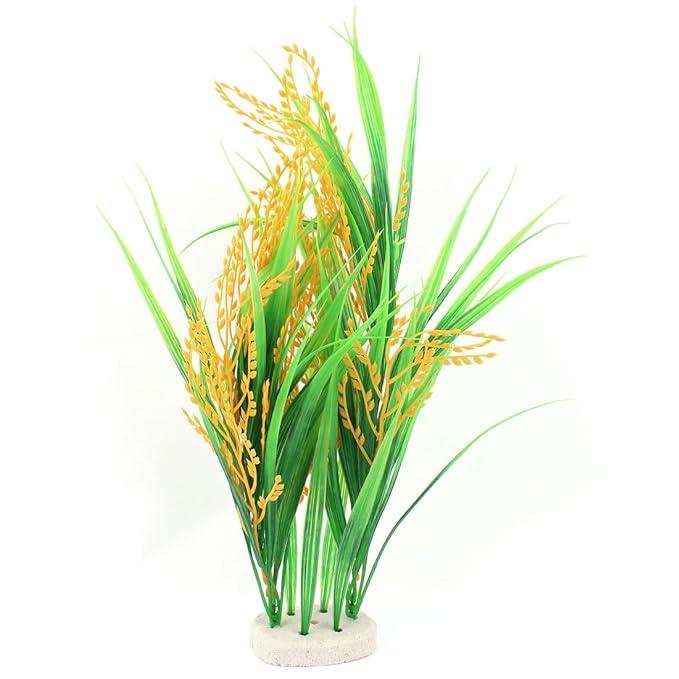 Fundamentals of Agronomy Image